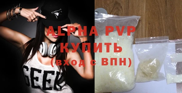 индика Арсеньев