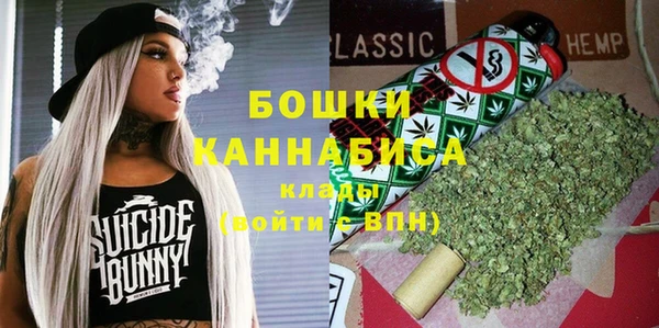 индика Арсеньев