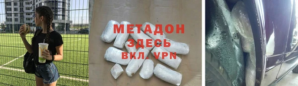 индика Арсеньев