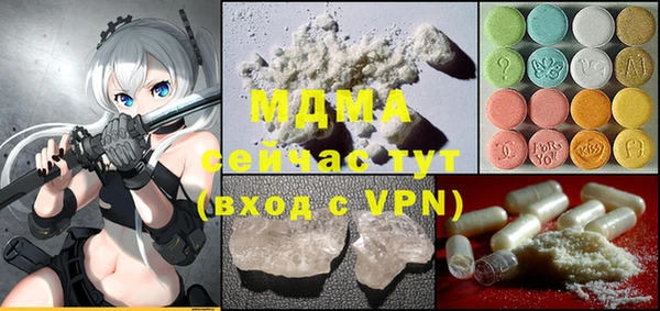 индика Арсеньев