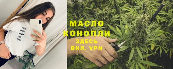 молекула духа Сатка