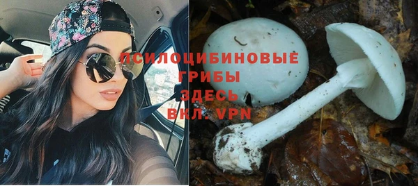 ALPHA PVP Саяногорск