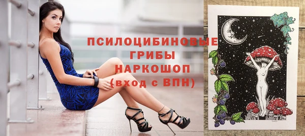 индика Арсеньев
