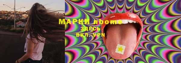 индика Арсеньев